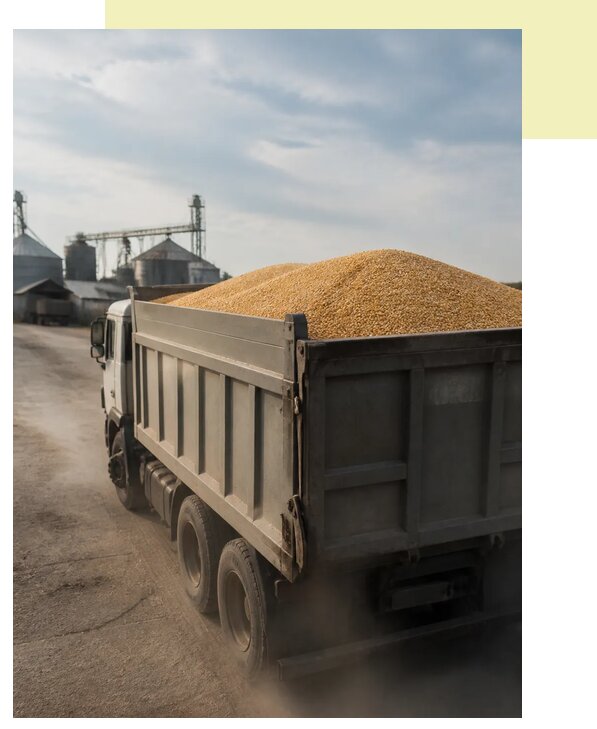 Перевозка сельхозпродукции навалом в Нижнекамск по цене от 3042 р. | Агросервис-Нжм